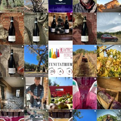 Feed Instagram Tenuta Trium pagina 4