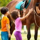 Bambini osservano e accarezzano un cavallo durante un'attività educativa