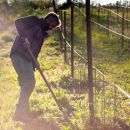 Contadino mentre zappa viti diserbo meccanico Tenuta Trium Notaresco Teramo