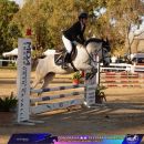 Amazzone con cavallo baio mentre supera un ostacolo marrone