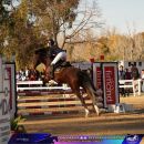 Amazzone con cavallo baio durante un salto su ostacolo rosso e marrone