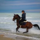 Cavaliere al galoppo con il cavallo nell'acqua del mare