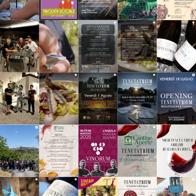 Feed Instagram Tenuta Trium pagina 2