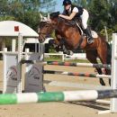Amazzone con cavallo baio durante il salto di un ostacolo verde