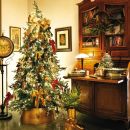Albero di Natale illuminato in un soggiorno classico