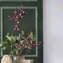 Orchidee e fiori in vaso davanti a una finestra verde