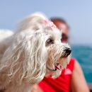 Escursione pet friendly con Motobarche Leonarda Vieste