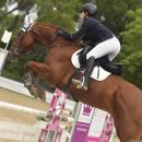 Amazzone e cavallo baio ripresi da vicino durante il salto di un ostacolo rosa