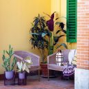 Angolo di patio con piante, vasi e lanterne