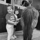 Bambino accanto a un piccolo pony durante un'attività al maneggio