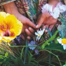 Mani mentre raccolgono piccoli fiori colorati