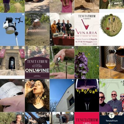 Feed Instagram Tenuta Trium pagina 3