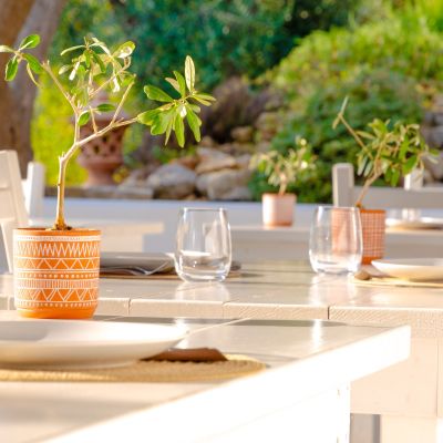 Terrazza apparecchiata per la colazione nel verde dello Shanti B&B