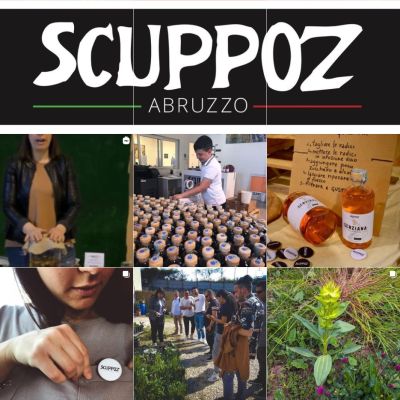 Feed Instagram Scuppoz con prodotti, eventi e persone legate al marchio