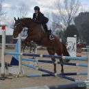 Amazzone con cavallo baio durante il salto di un ostacolo azzurro e bianco