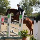 Amazzone con cavallo baio mentre supera un ostacolo verde