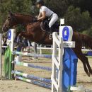 Amazzone con cavallo baio mentre supera un ostacolo blu