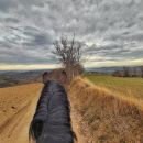 Vista in prima persona durante una passeggiata a cavallo su una strada di campagna