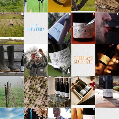 Feed Instagram Tenuta Trium pagina 6