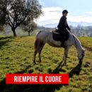 Cavaliere Team Horse attraversa un prato a cavallo vicino al maneggio