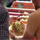 Mani con grappolo uva bianca durante vendemmia Tenuta Trium Notaresco Teramo