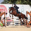 Amazzone con cavallo baio durante il salto di un ostacolo arancione