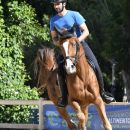 Cavaliere con cavallo baio al galoppo durante una competizione