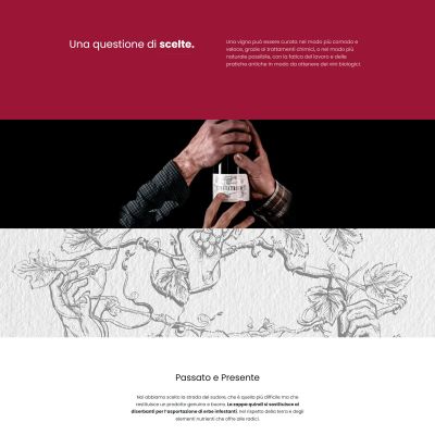 Pagina scelta bio Sito Web Tenuta Trium