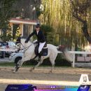 Amazzone con cavallo grigio al galoppo nell'arena di gara