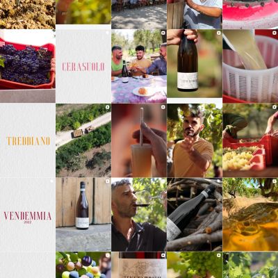 Feed Instagram Tenuta Trium pagina 7