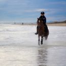 Amazzone a cavallo mentre avanza nell'acqua del mare