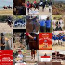 Feed Instagram Team Horse con gare equestri, iscrizioni e immagini della squadra