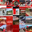 Feed Instagram Team Horse con cavalli, gare e momenti di vita in maneggio