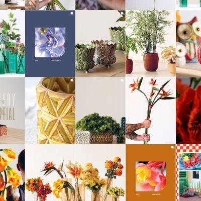 Feed Instagram Bruco con piante, fiori, vasi e decorazioni per interni