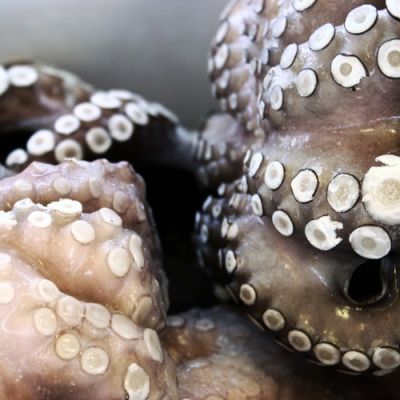 Polpi surgelati esposti nel banco del pesce