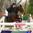 Amazzone e cavallo baio ripresi da vicino durante una competizione