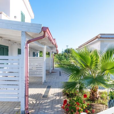 Ingresso della struttura con palme e piante ornamentali