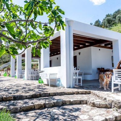 Veranda esterna bianca dello Shanti B&B immersa nel verde