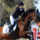 Amazzone con cavallo baio concentrata durante una gara