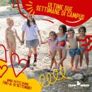 Grafica delle ultime settimane del campus estivo Team Horse