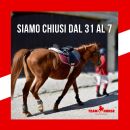 Grafica Team Horse con avviso di chiusura dal 31 al 7