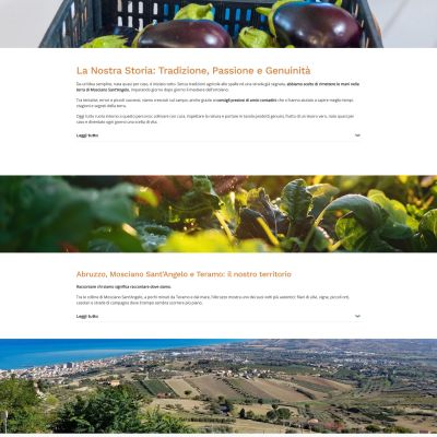 Pagina chi siamo del Sito Web E-Commerce Mamagio