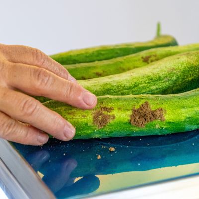 Punto vendita Mamagio a Mosciano Sant'Angelo con prodotti naturali coltivati a km zero