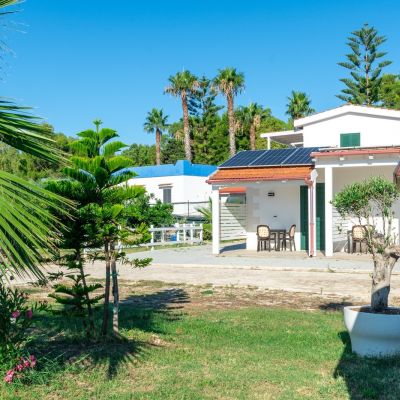 Giardino con palme e vista sulle camere del B&B Duccio a Mare