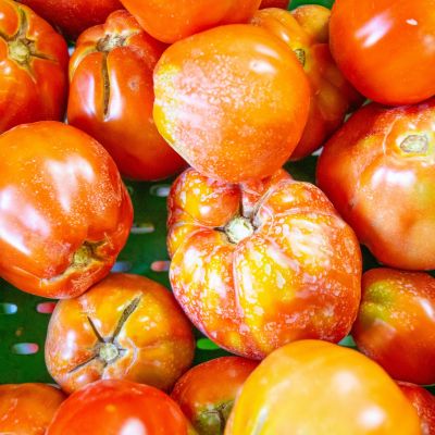 Punto vendita Mamagio a Mosciano Sant'Angelo con prodotti naturali coltivati a km zero