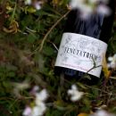 Bottiglia Montepulciano D'Abruzzo DOC Tenuta Trium sul prato fiorito Notaresco Teramo Abruzzo
