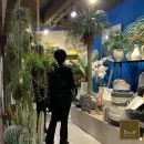 Stand Bruco in fiera con piante, vasi e decorazioni sospese