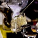 Bartender versa cocktail gin Scuppoz