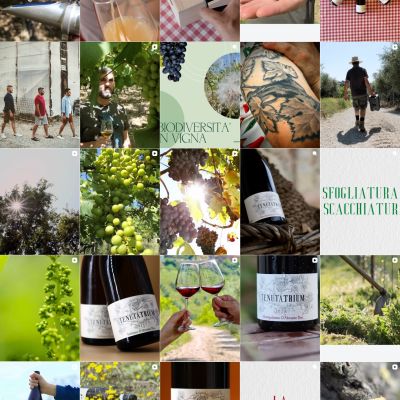 Feed Instagram Tenuta Trium pagina 5