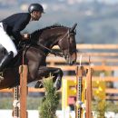 Cavaliere del Team Horse con cavallo baio durante una gara di salto a ostacoli